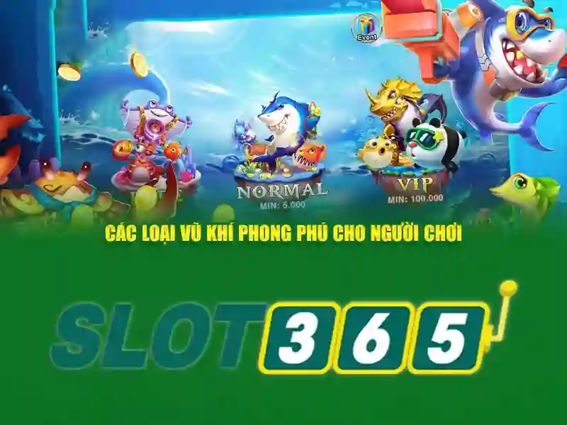 Ưu đãi và chương trình khuyến mãi Ưu đãi và chương trình khuyến mãi