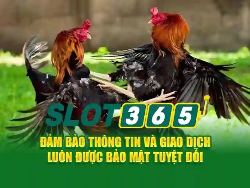 Mẹo chơi bắn cá 3 cây dễ ăn tiền nhà cái