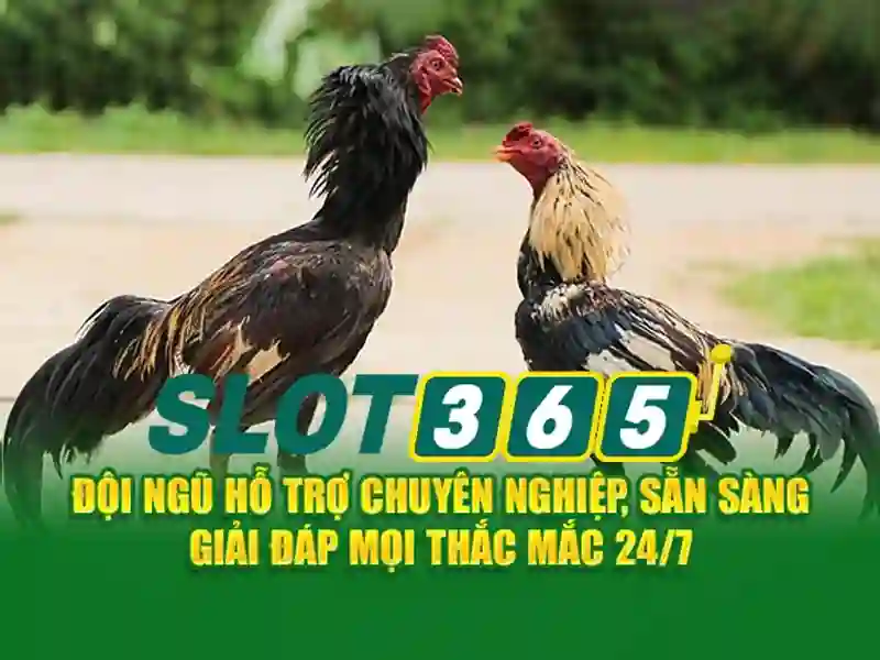Các tính năng nổi bật của Slot365 Các tính năng nổi bật của Slot365
