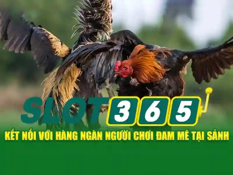 Slot365: Trải nghiệm casino slots trực tuyến hàng đầu