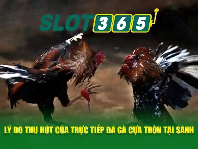 Mẹo chơi bắn cá 3 cây dễ ăn tiền nhà cái