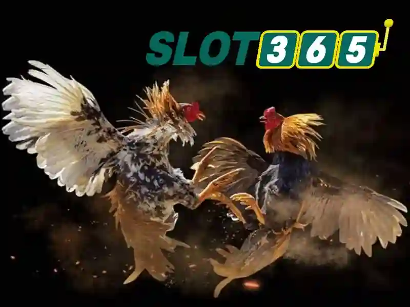 Slot365: Tổng quan về nền tảng đánh bạc trực tuyến hàng đầu