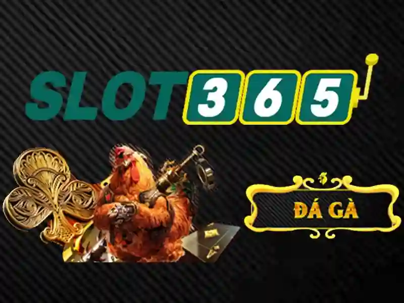 Slot365 – Nền tảng slot trực tuyến đáng chú ý