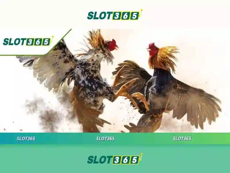 Slot365 - Đánh giá nền tảng khe trực tuyến uy tín