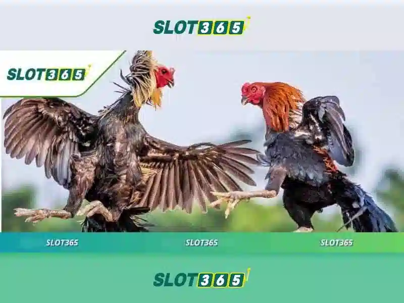 Giao diện người dùng và bảo mật tại Slot365