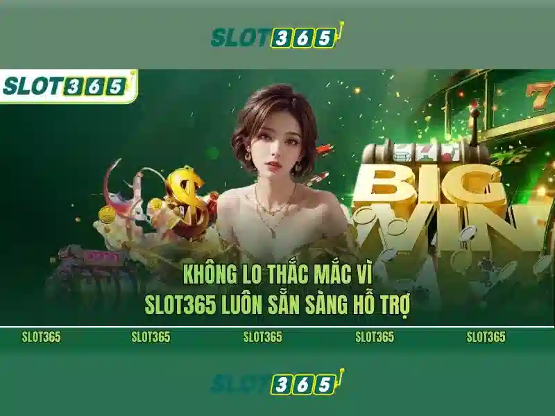 Slot365 overview