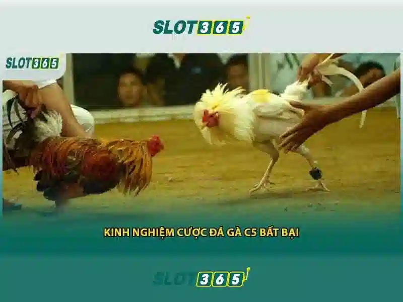 Danh muc tro choi da dang va hap dan Danh muc tro choi da dang va hap dan
