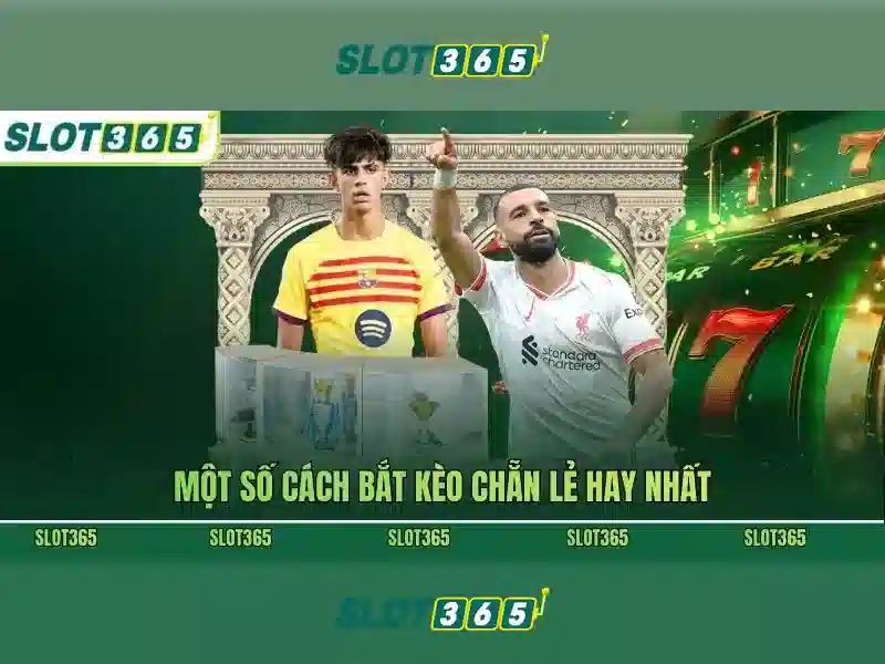 Slot365: Nền tảng slot trực tuyến hàng đầu Slot365: Nền tảng slot trực tuyến hàng đầu