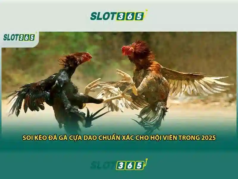 Slot365: Nền tảng casino slots trực tuyến an toàn và uy tín