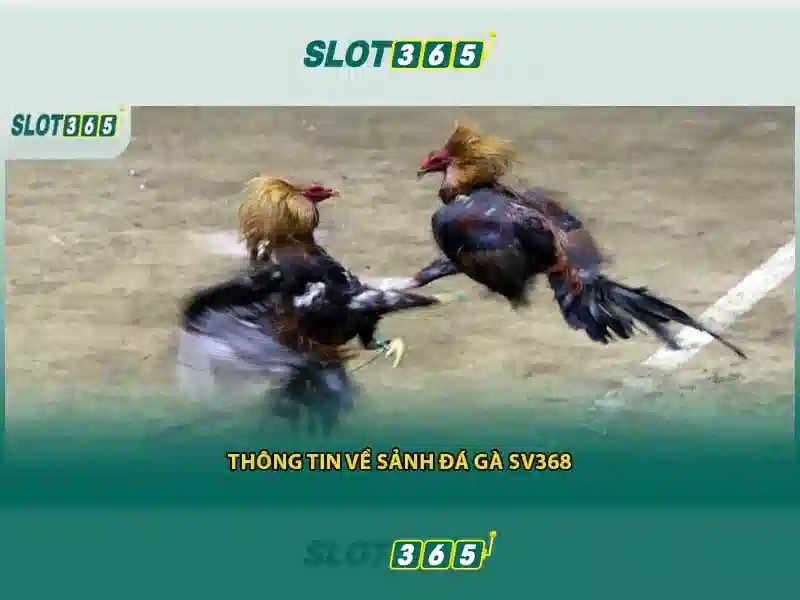 Tại sao Slot365 nổi bật