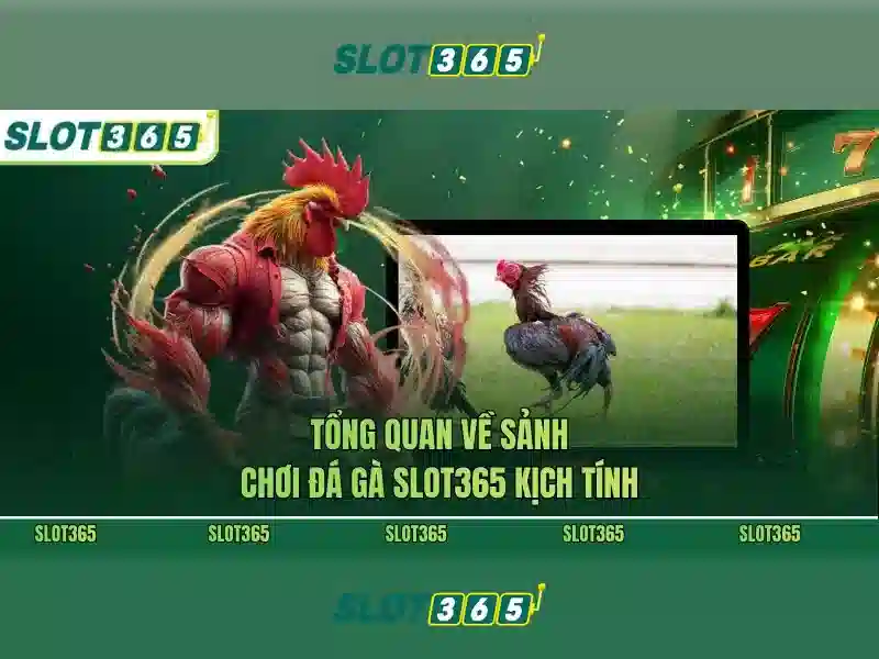 Khuyến mãi và thưởng cho người chơi Việt Nam Khuyến mãi và thưởng cho người chơi Việt Nam