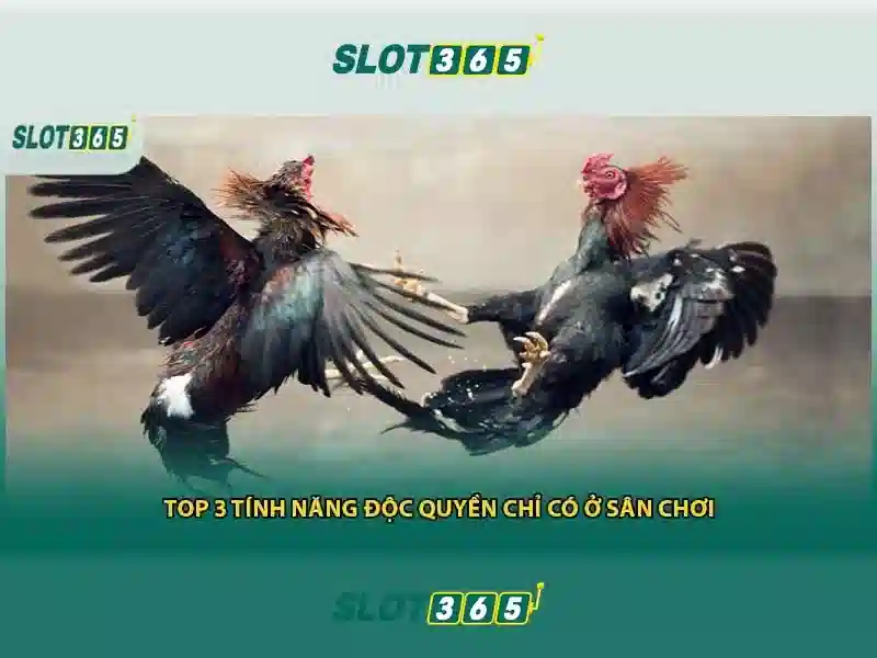 Slot365: Đánh giá và trải nghiệm chơi xèng trực tuyến