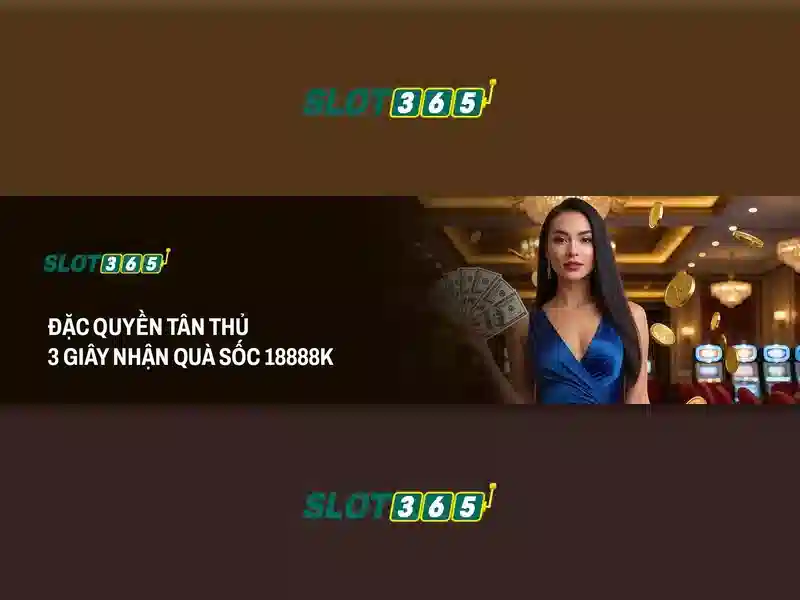 Slot365 là gì? Slot365 là gì?