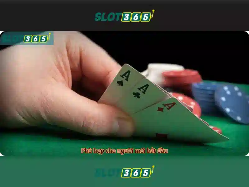 Slot365 là gì? Slot365 là gì?