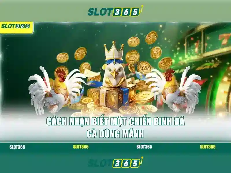 Hạn chế và lưu ý khi chơi