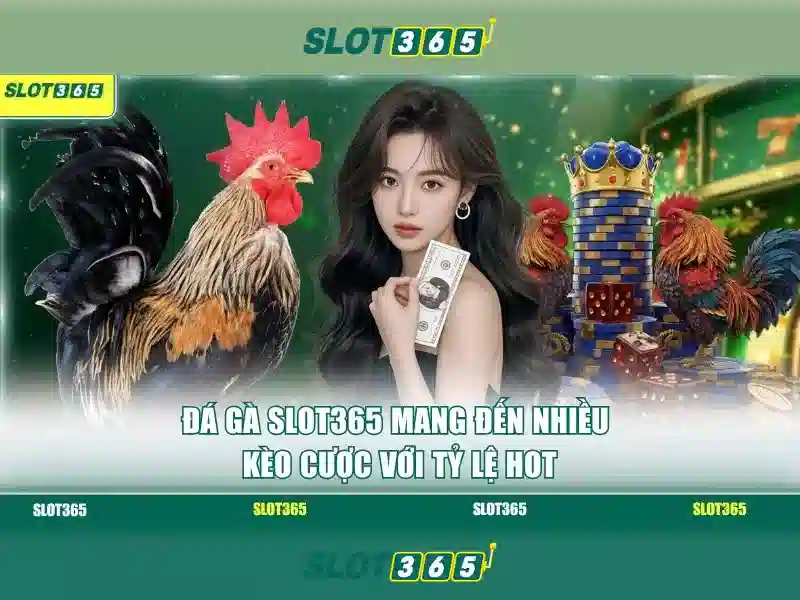 Slot365 - Đánh giá và trải nghiệm chơi slot trực tuyến