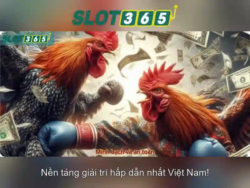 Khu vực an toàn và trách nhiệm giải trí Khu vực an toàn và trách nhiệm giải trí