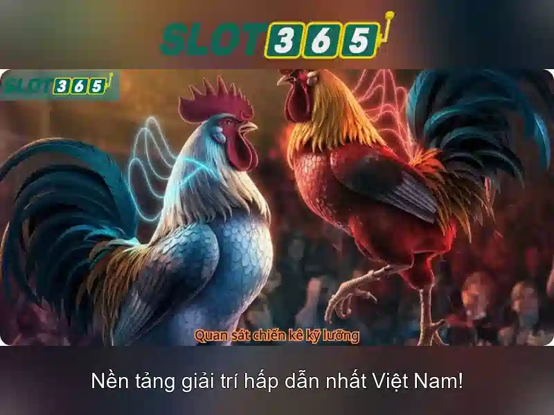 Tổng quan về Slot365