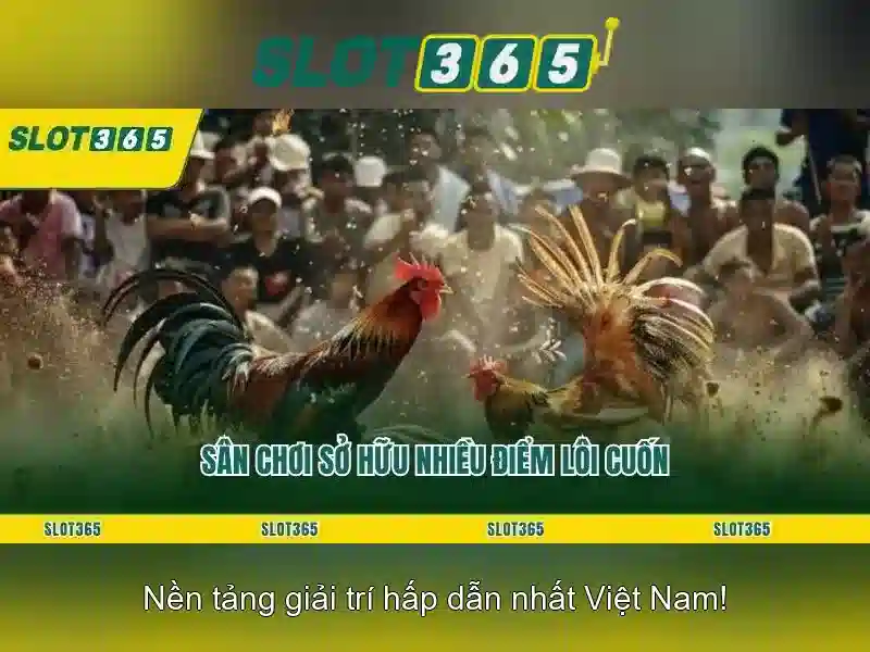 Slot365 - Nền tảng chơi xèng trực tuyến hàng đầu