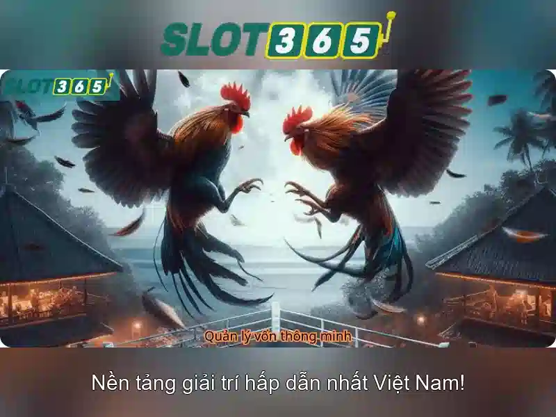 Slot365 là gì? Slot365 là gì?