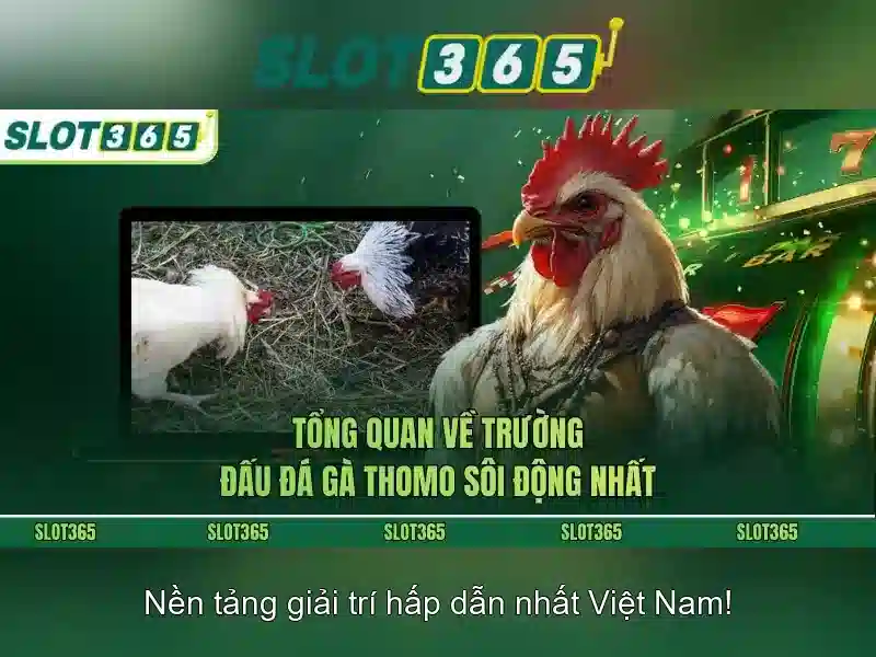 Giới thiệu về slot365