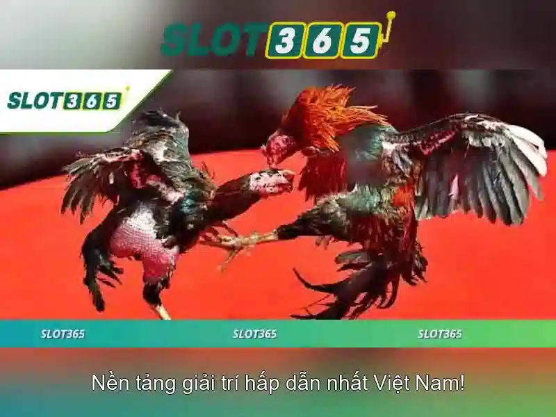 Các tính năng nổi bật của Slot365