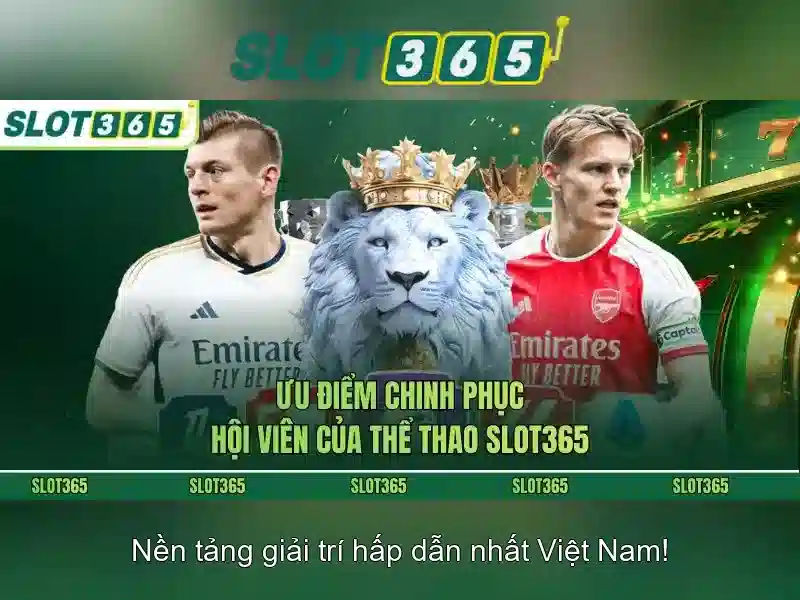 Slot365 là gì? Slot365 là gì?