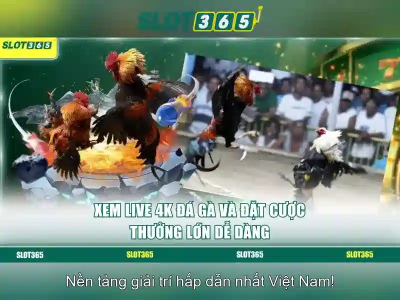 Mẹo chơi bắn cá 3 cây dễ ăn tiền nhà cái