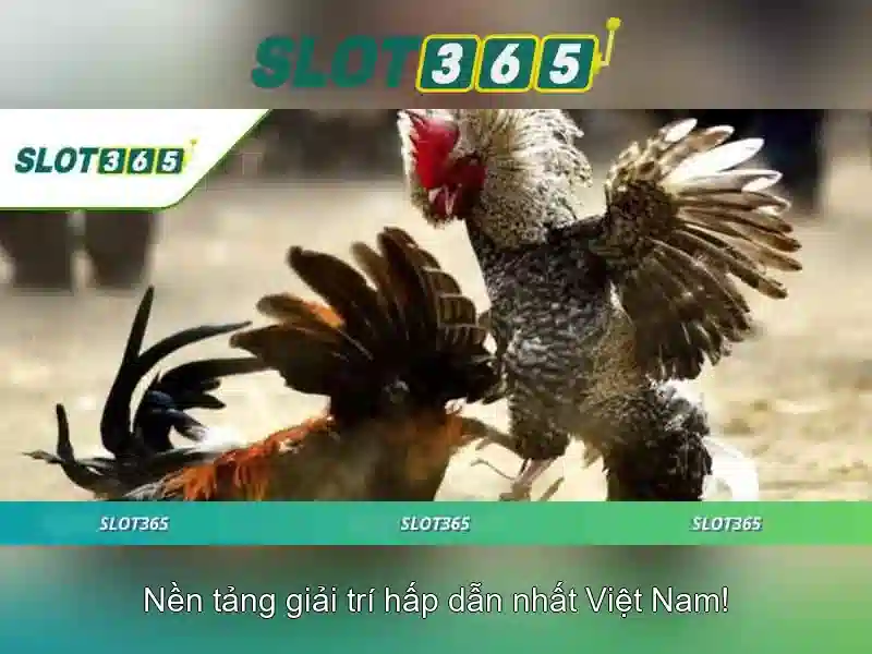 Mẹo chơi bắn cá 3 cây dễ ăn tiền nhà cái