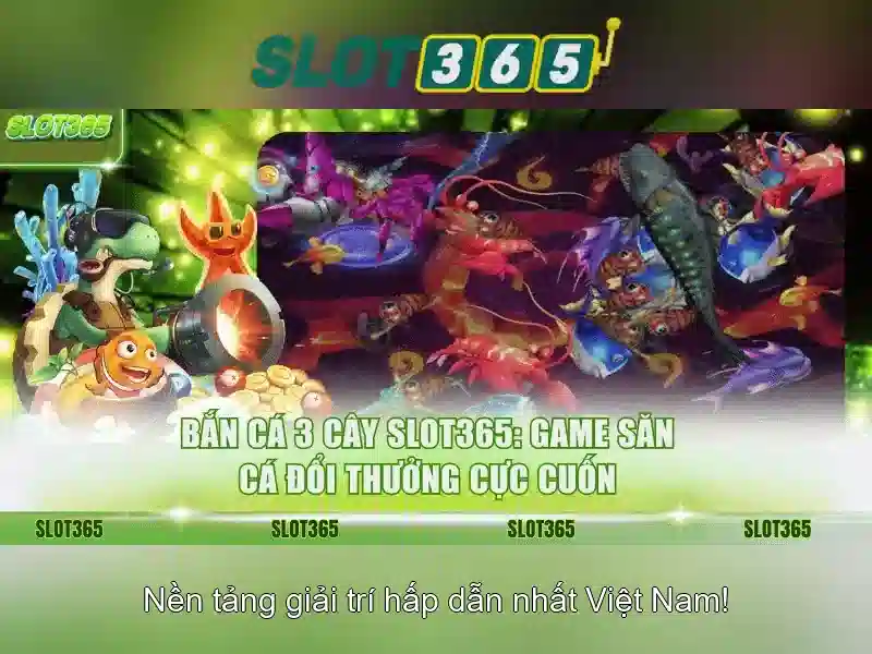 Trải nghiệm người dùng và giao diện