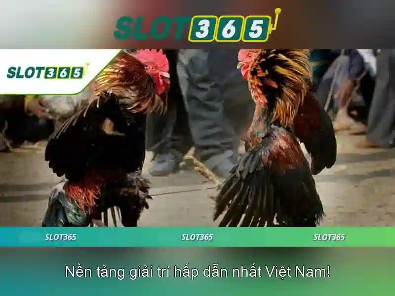 Chuong trinh hop tac dai ly slot365 voi hoa hong hap dan