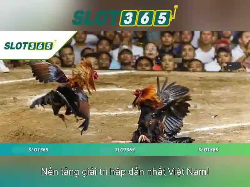 Slot365: Trải nghiệm casino trực tuyến đầy hứng thú