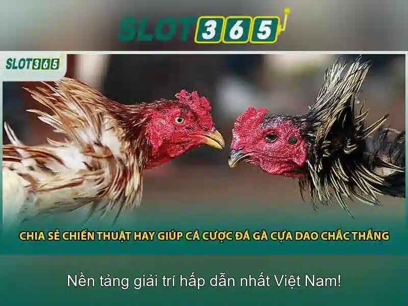 slot365-gioi-thieu