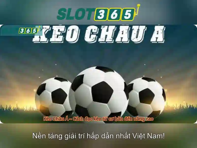 Slot365 - Đánh giá nền tảng trò chơi slot trực tuyến
