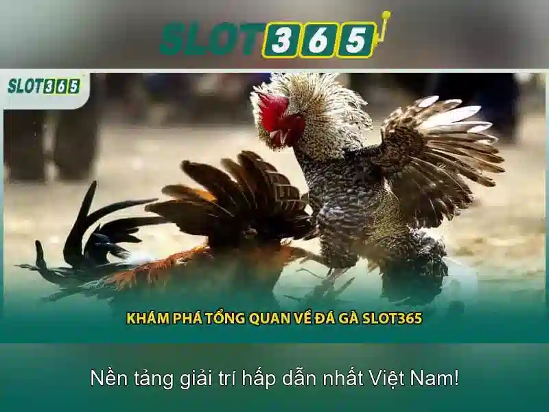 Các trò chơi nổi bật trên Slot365 Các trò chơi nổi bật trên Slot365
