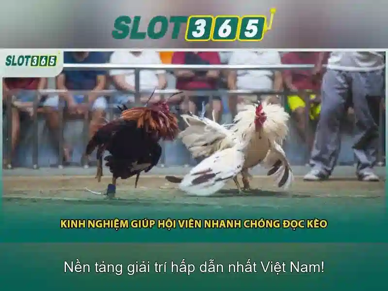 Mẹo chơi bắn cá 3 cây dễ ăn tiền nhà cái