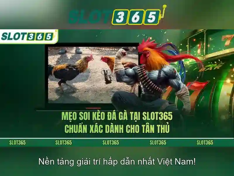 đăng nhập Slot365 – Trải nghiệm đỉnh cao với slot365 app