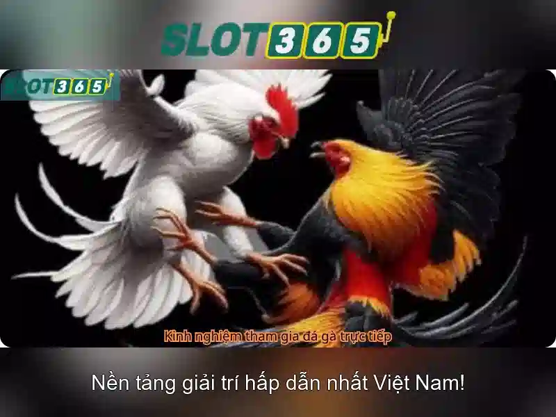 Slot365: Khám phá nền tảng máy slot và trò chơi trực tuyến