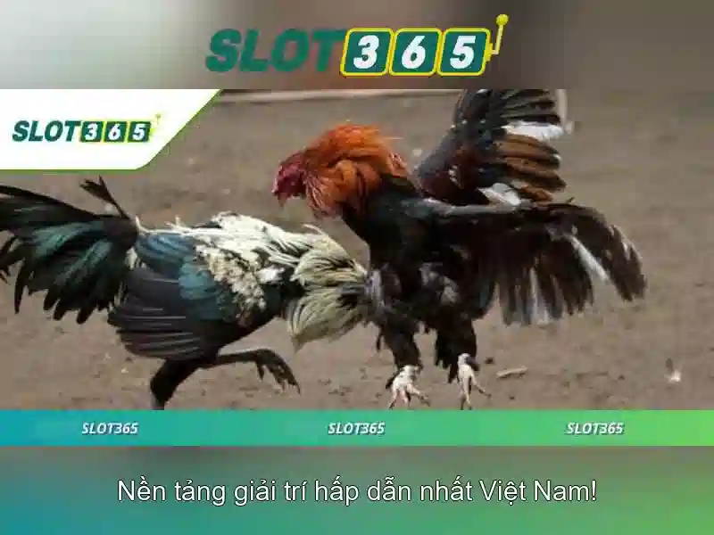 Mẹo chơi bắn cá 3 cây dễ ăn tiền nhà cái