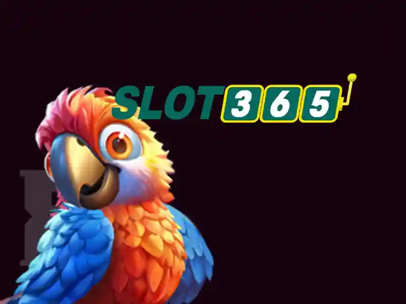 Slot365 là gì? Slot365 là gì?