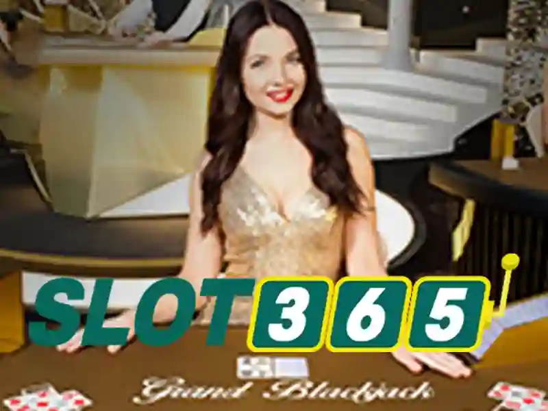 Slot365 - Tổng quan về nền tảng chơi slot và casino trực tuyến