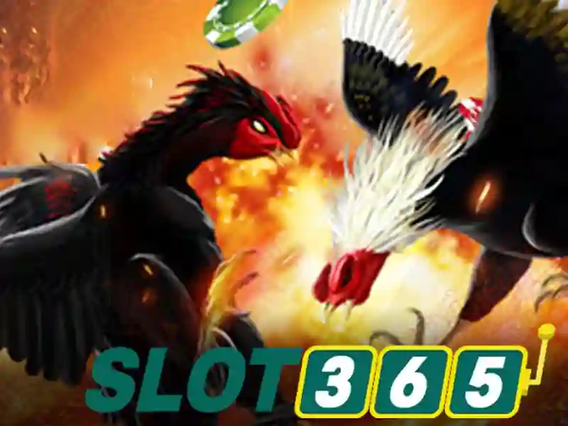 Slot365 là gì và tại sao được người chơi yêu thích